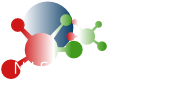 N.I.S. Solutions, LLC